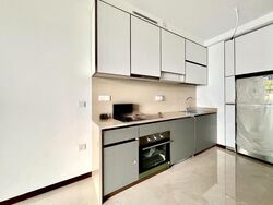 Normanton Park (D5), Apartment #510768641